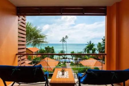 Palm Coco Mantra - 5