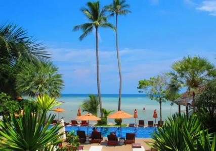Palm Coco Mantra - 20