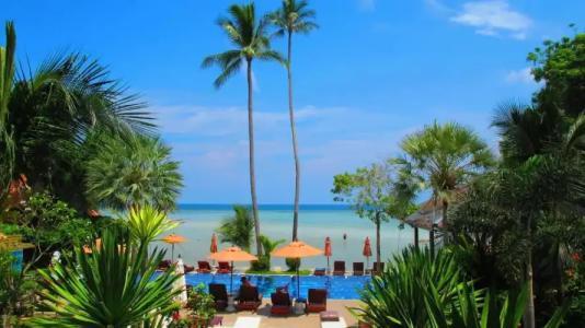 Palm Coco Mantra - 39