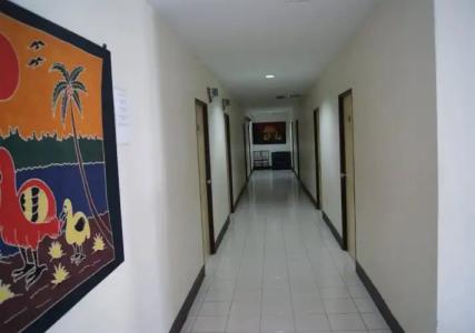 Pineapple Guesthouse - 15