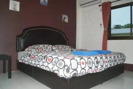 Pineapple Guesthouse - 67
