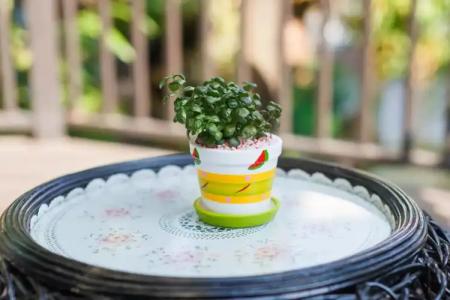 Diamond Park Inn Chiangrai & Resort - 11