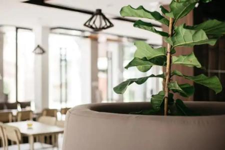 Diamond Park Inn Chiangrai & Resort - 17