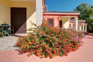 Hotel Pedra Niedda, Budoni