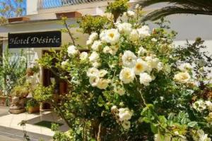 Hotel Desiree, Sorrento