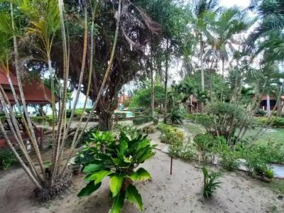 Morning Star Resort - 114