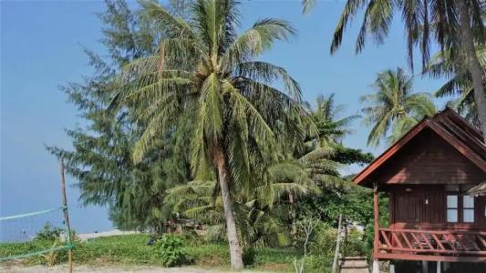 Morning Star Resort - 87