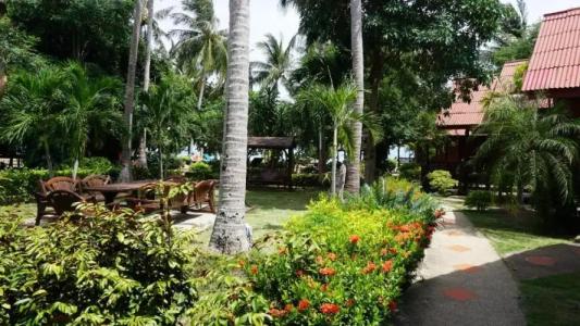 Morning Star Resort - 145