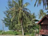 Bungalow seafront