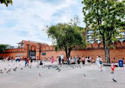 Bed and Terrace Guesthouse Chiang Mai - 26