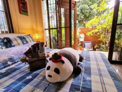 Bed and Terrace Guesthouse Chiang Mai - 49