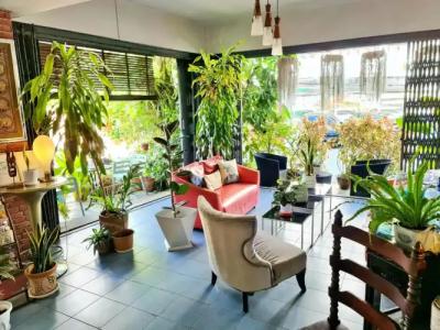 Bed and Terrace Guesthouse Chiang Mai - 21