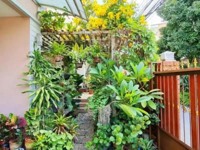 Bed and Terrace Guesthouse Chiang Mai - 63