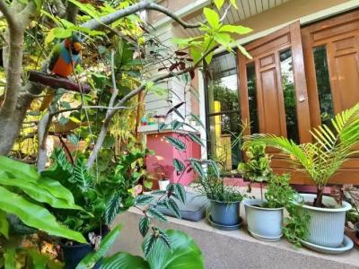 Bed and Terrace Guesthouse Chiang Mai - 76