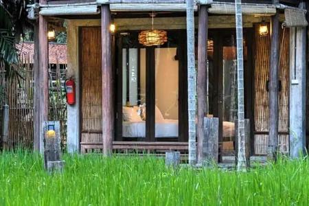 La A Natu Bed & Bakery - 217