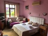 Superior room with garden view