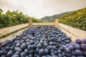 B&B Boutique Osteria della Pieve, Sant'Ambrogio di Valpolicella