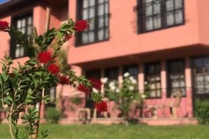 Hotel Palme Dalyan, Dalyan