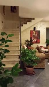 Borgo di Santa Barbara - 14