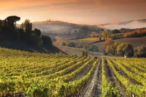 Agriturismo Mormoraia Farm, San Gimignano