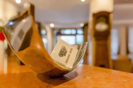 Paradise & Wellness - 41