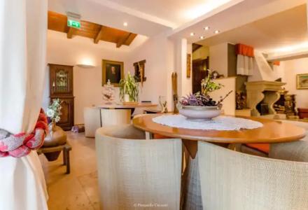 Paradise & Wellness - 25