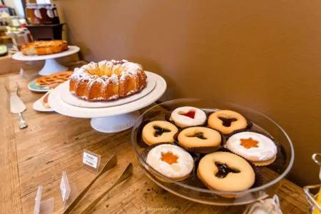 Paradise & Wellness - 29