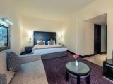 Executive Double Suite