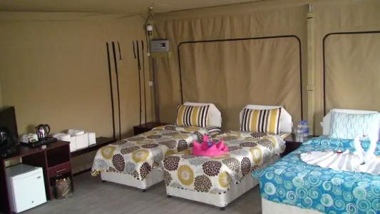 Ras Al Jinz Turtle Reserve - 5