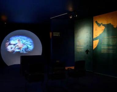 Ras Al Jinz Turtle Reserve - 20