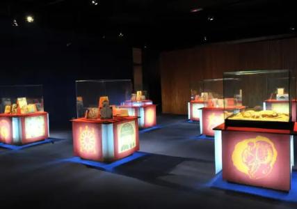 Ras Al Jinz Turtle Reserve - 34