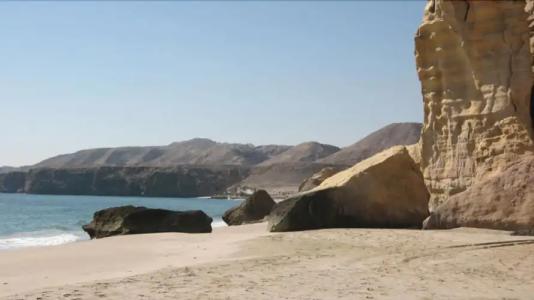 Ras Al Jinz Turtle Reserve - 25