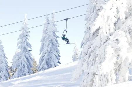 Bio-BergIfenblick - 16