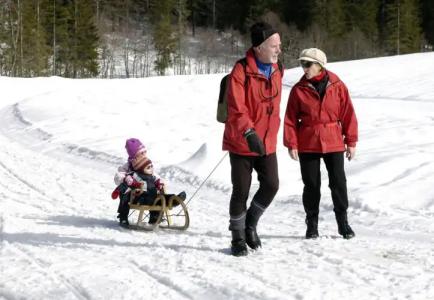 Bio-BergIfenblick - 20