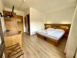 Premium Double room with balcony and with mountain view