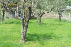 Agriturismo La Casa Del Ghiro, Pimonte