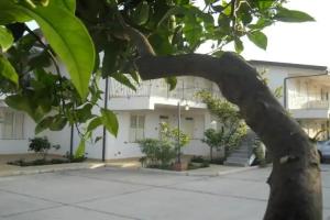Medimare Residence Club, Patti