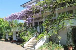 Hotel Ristorante Sole, Muggia