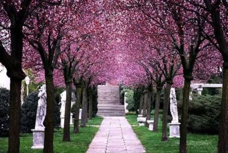 Des Bains Terme - 13