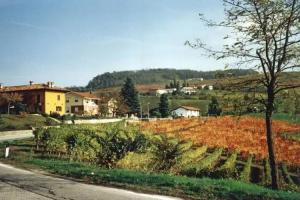 Agriturismo Ca Brusa, Monforte d'Alba