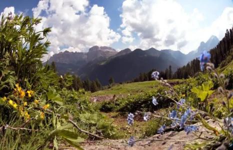 Leading Relax Maria - 38