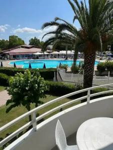 La Buca Del Gatto - 36