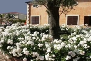 Residence Baia Infreschi, Marina di Camerota