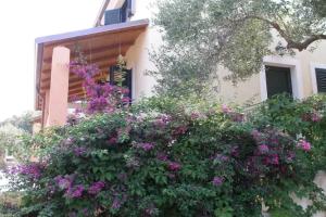 Residence Torre Delle Viole Apart-hotel, Marina di Camerota