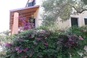 Residence Torre Delle Viole, Marina di Camerota