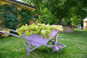 Rosemarie B&B, Manciano