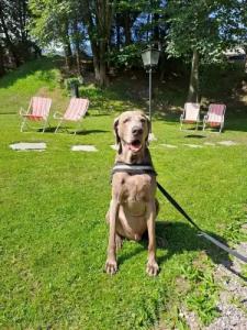 Garni St. Hubertus - 38