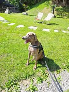 Garni St. Hubertus - 18