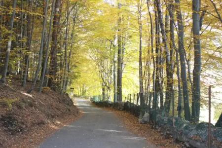 Albergo alla Posta - 14