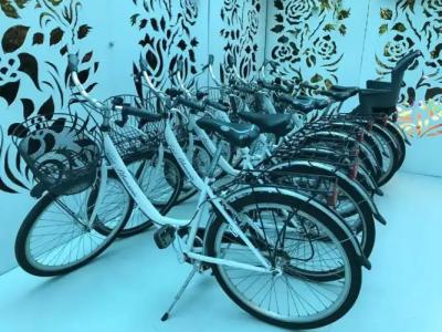 Boutique Blumarin - 22